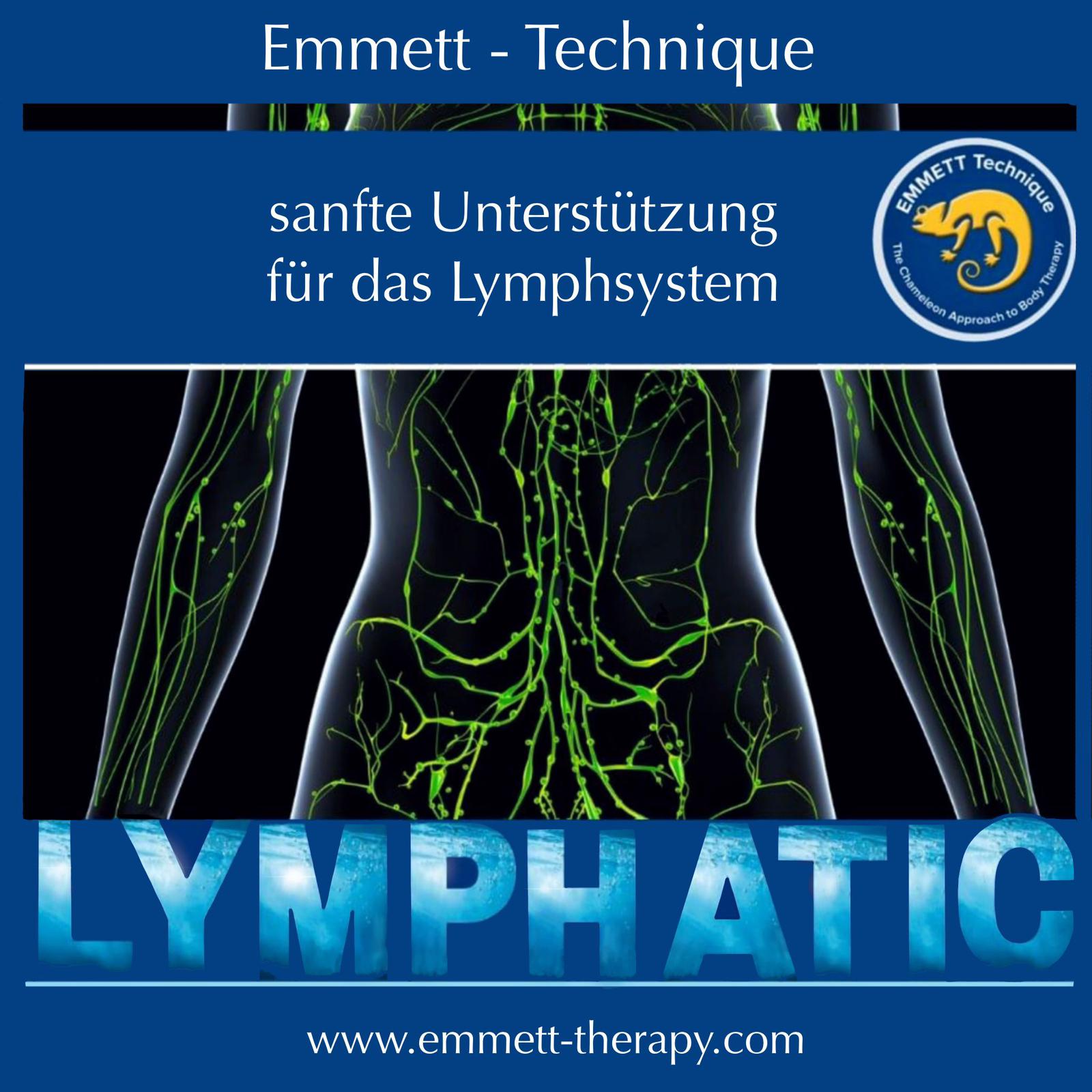 Grafische Darstellung des Lymphsystems in Beinen und Rumpf